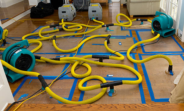Professional Burst Pipe Water Damage technician working in Conway, AR